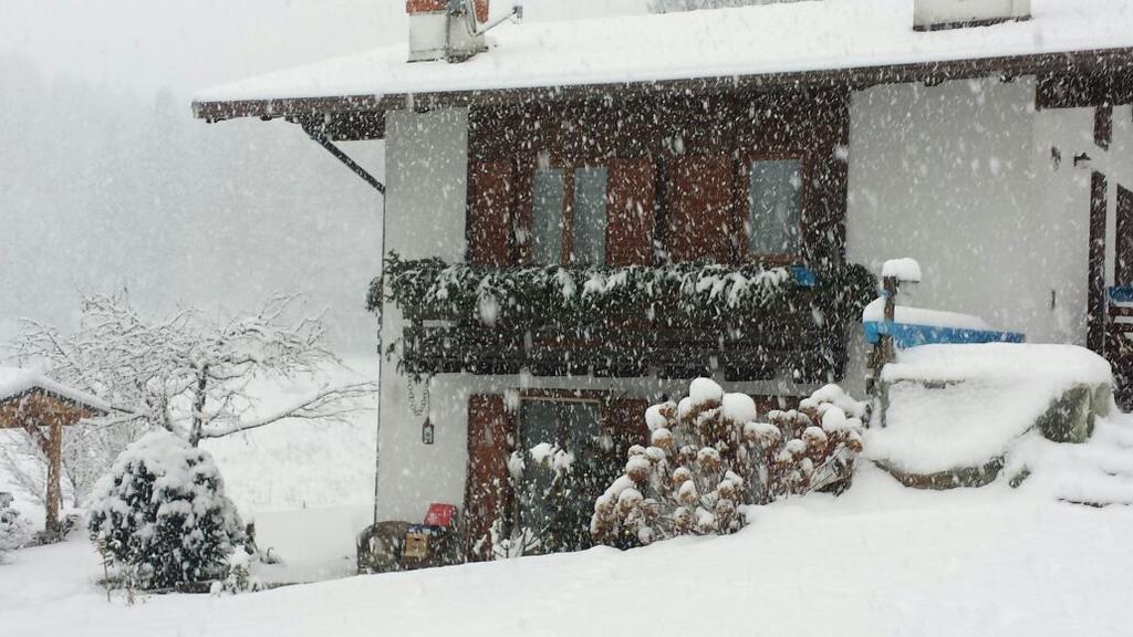 Chalet Monica Molina di Ledro Exteriör bild